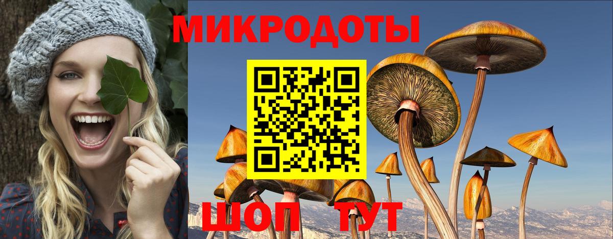 Галлюциногенные грибы Psilocybine cubensis  Псилоцибиновые грибы мухоморы  Вход с VPN  Серов 