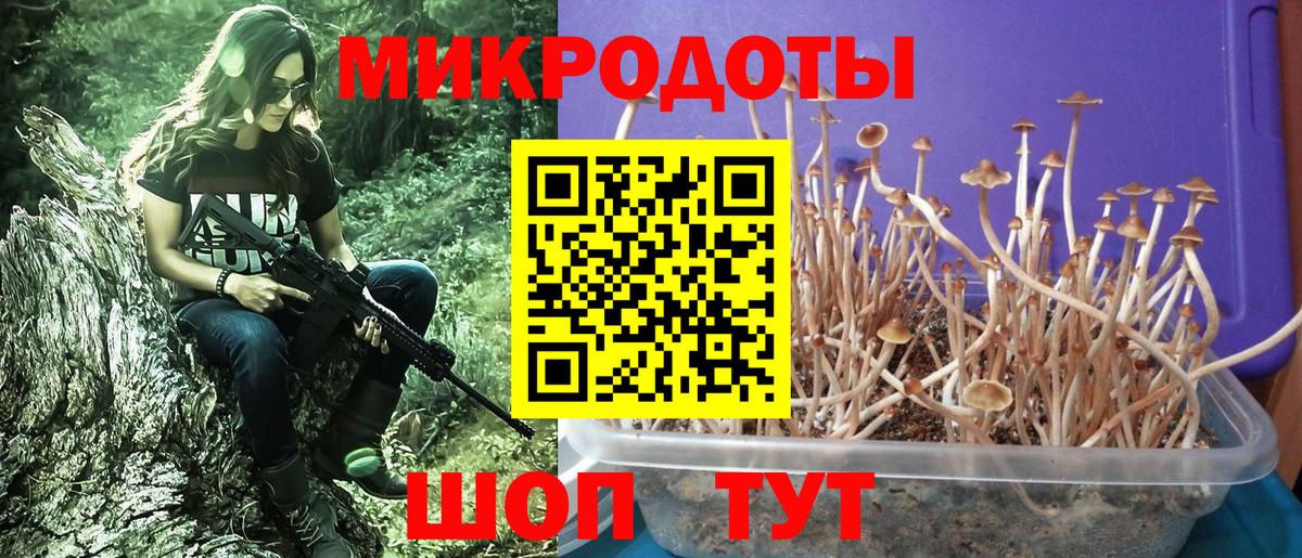 Галлюциногенные грибы Magic Shrooms Серов